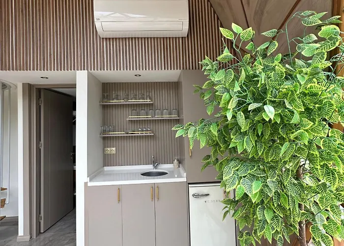 Kalimeras Deluxe Casa de Férias Sapanca